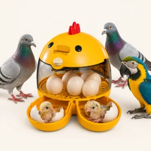 Eggs Incubator Practical Eggs Hatching for Hatching Quail Turkey Parrots Pigeon